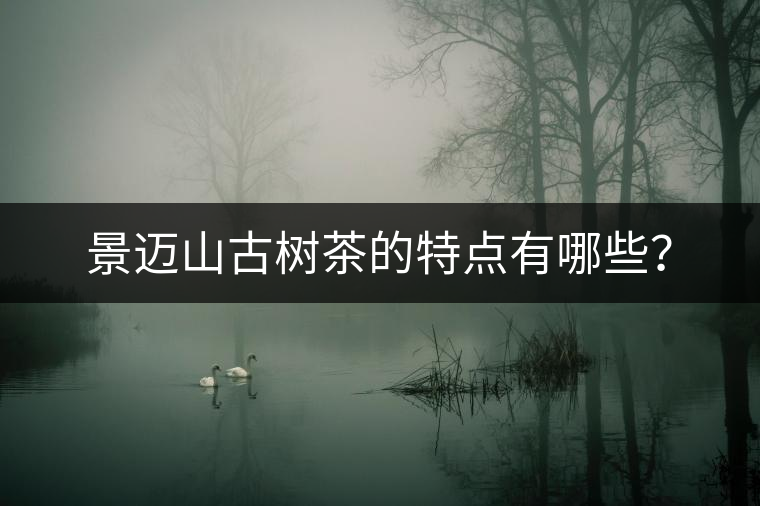景邁山古樹(shù)茶的特點(diǎn)有哪些？