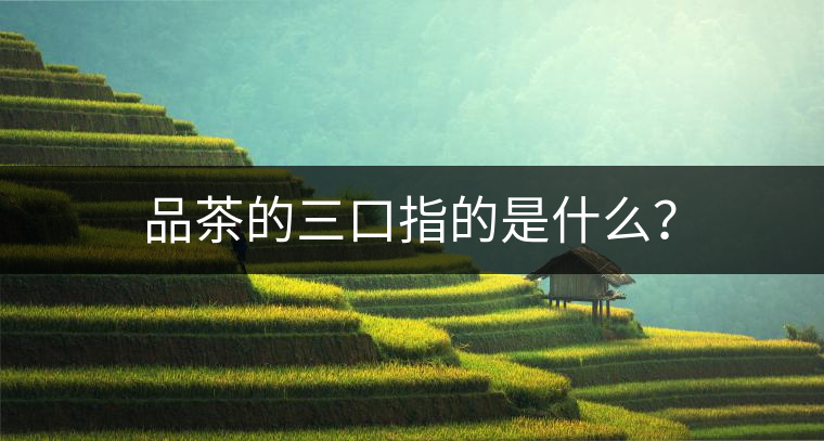 品茶的三口指的是什么？