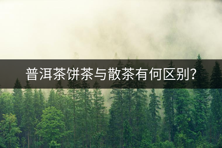 普洱茶餅茶與散茶有何區(qū)別？