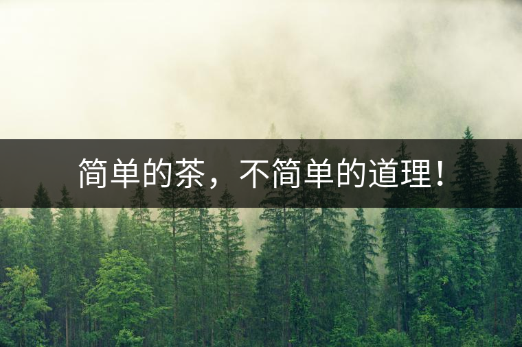 簡單的茶，不簡單的道理！