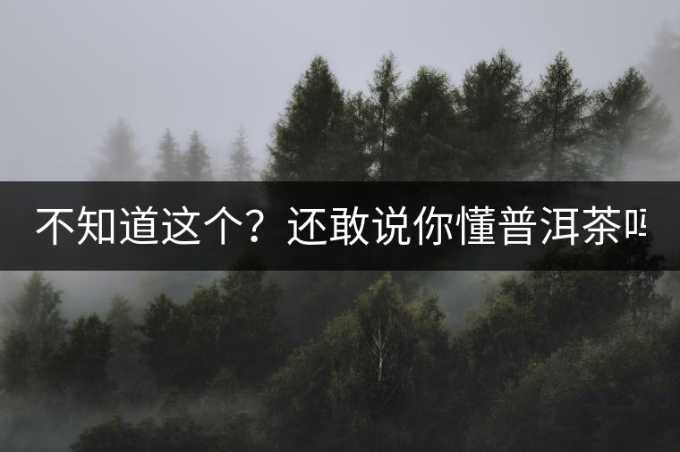 不知道這個？還敢說你懂普洱茶嗎？