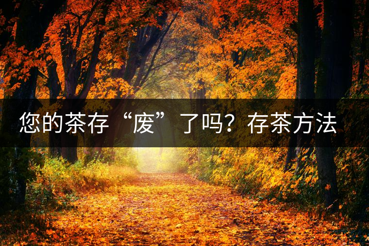 您的茶存“廢”了嗎？存茶方法與技巧，把香留??！