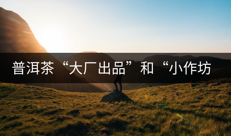 普洱茶“大廠出品”和“小作坊”，哪一個(gè)更值得購買？