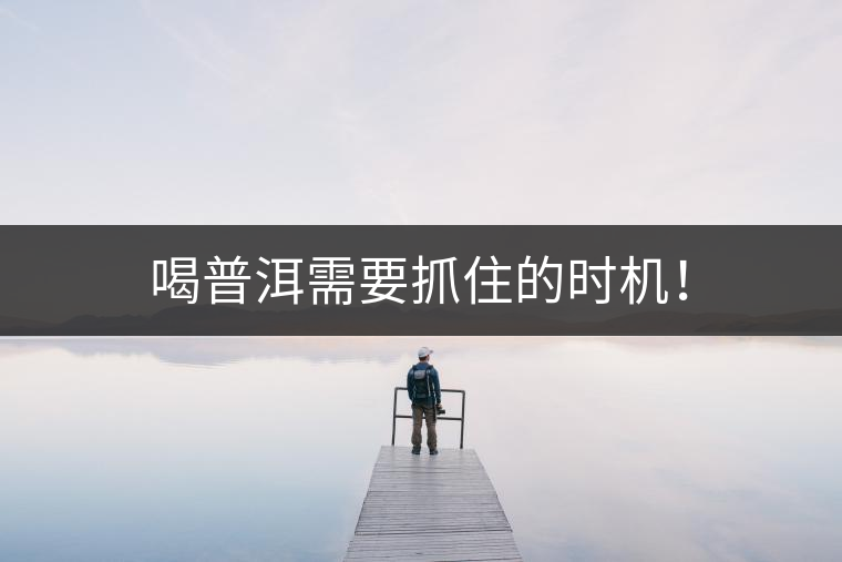 喝普洱需要抓住的時機！