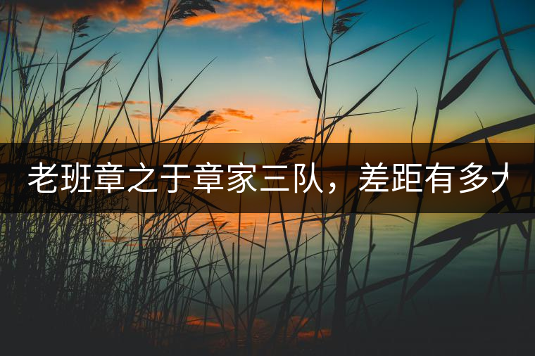 老班章之于章家三隊(duì)，差距有多大？