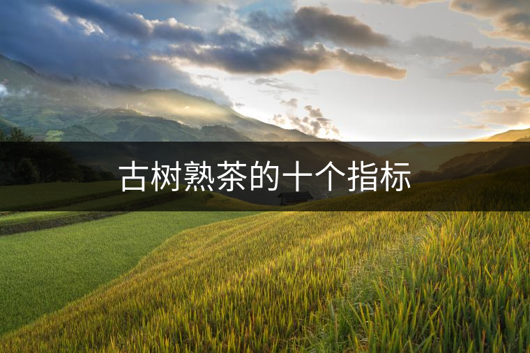 古樹熟茶的十個(gè)指標(biāo)