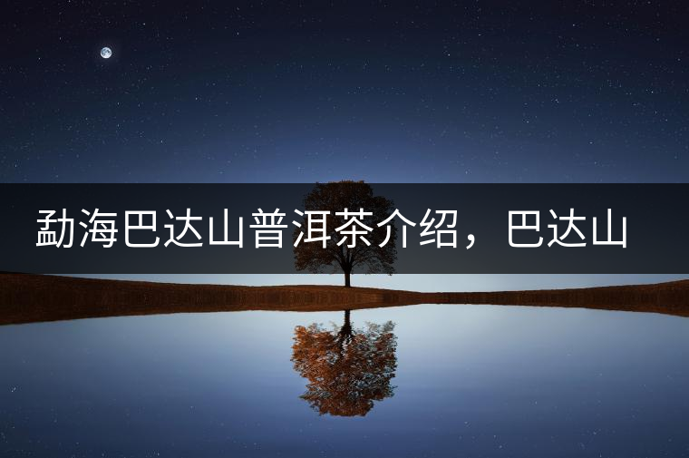 勐海巴達(dá)山普洱茶介紹，巴達(dá)山古樹茶口感特點(diǎn)