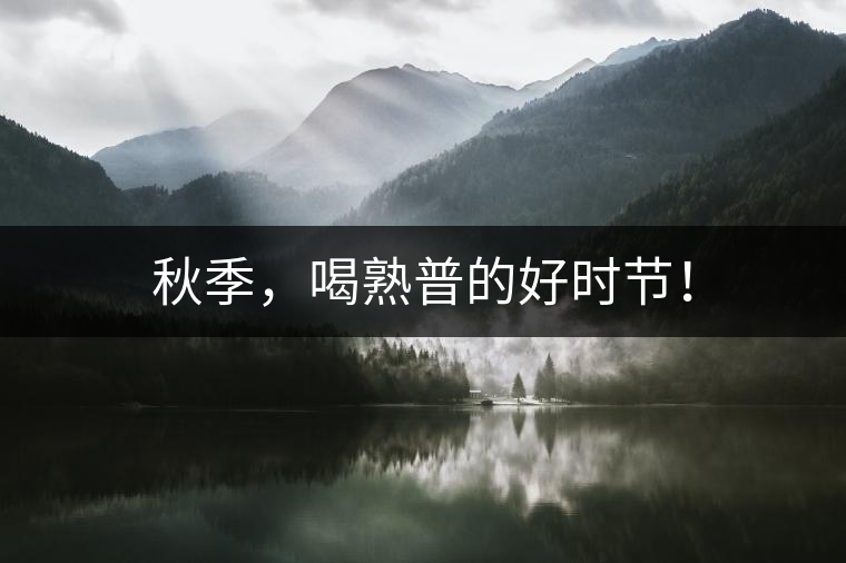 秋季，喝熟普的好時(shí)節(jié)！