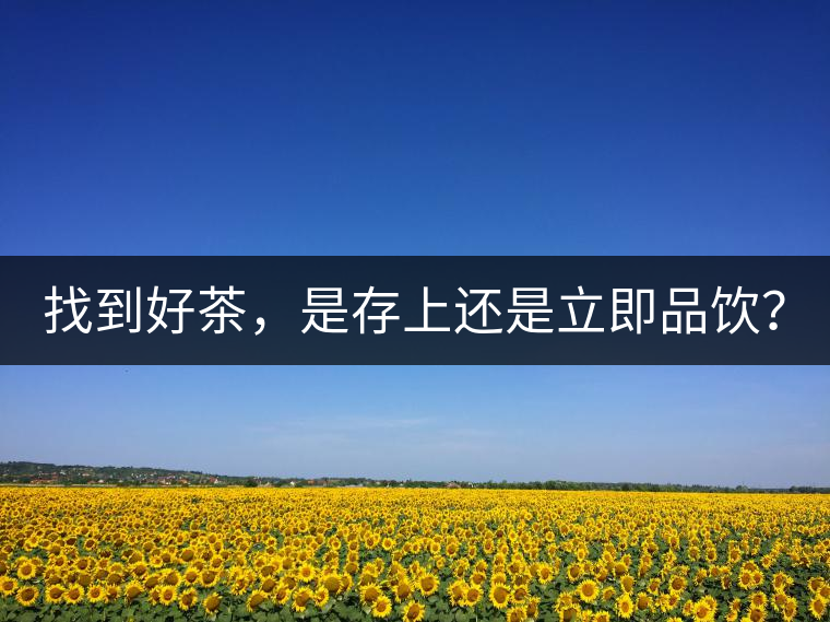 找到好茶，是存上還是立即品飲？
