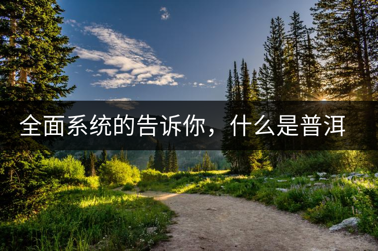 全面系統(tǒng)的告訴你，什么是普洱茶