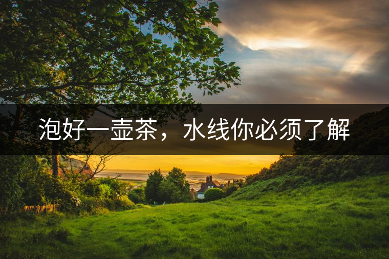 泡好一壺茶，水線你必須了解