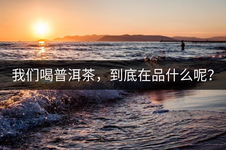 我們喝普洱茶，到底在品什么呢？