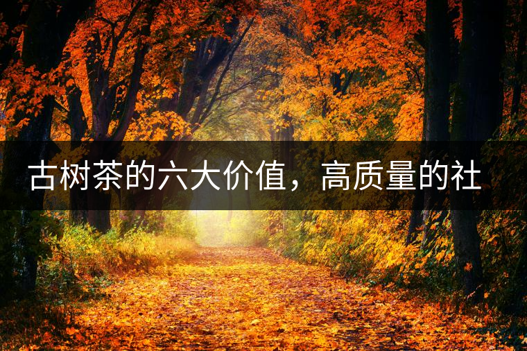 古樹(shù)茶的六大價(jià)值，高質(zhì)量的社交都離不開(kāi)古樹(shù)茶