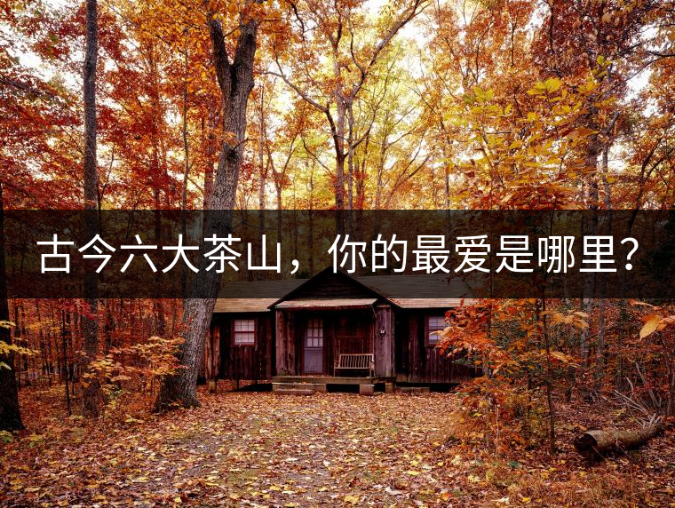古今六大茶山，你的最愛是哪里？