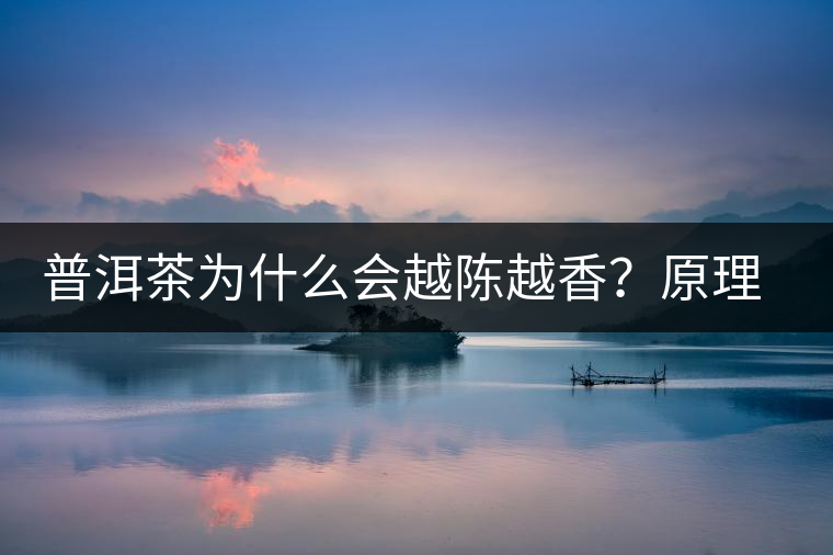 普洱茶為什么會(huì)越陳越香？原理是什么？