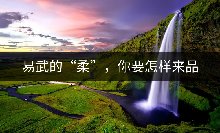 易武的“柔”，你要怎樣來(lái)品