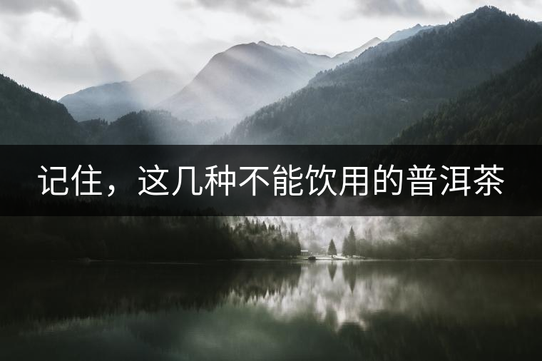 記住，這幾種不能飲用的普洱茶