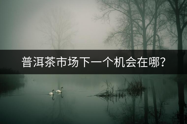 普洱茶市場(chǎng)下一個(gè)機(jī)會(huì)在哪? 普洱茶市場(chǎng)下一個(gè)機(jī)會(huì)在哪?