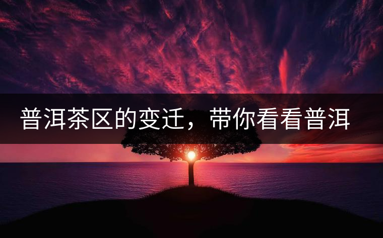 普洱茶區(qū)的變遷，帶你看看普洱茶地域分布