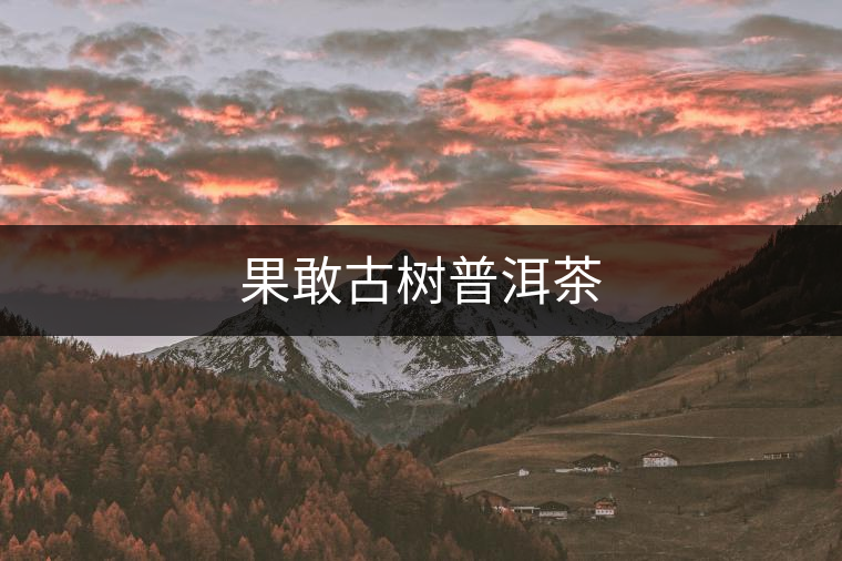 果敢古樹(shù)普洱茶 果敢古樹(shù)普洱茶