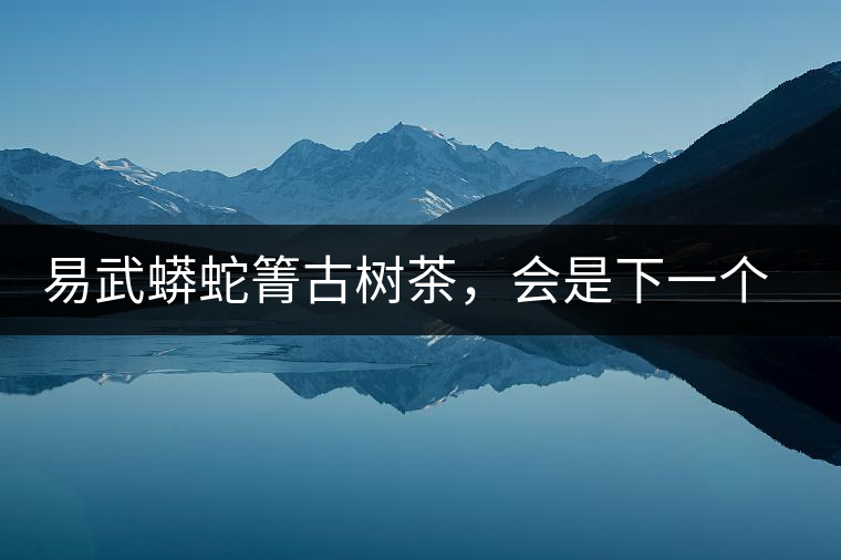 易武蟒蛇箐古樹茶，會(huì)是下一個(gè)銅箐河嗎？