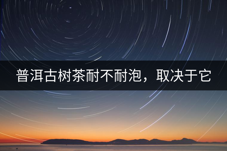 普洱古樹茶耐不耐泡，取決于它