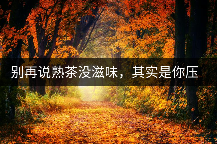 別再說熟茶沒滋味，其實(shí)是你壓根沒喝懂