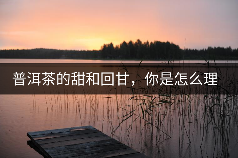 普洱茶的甜和回甘，你是怎么理解的？