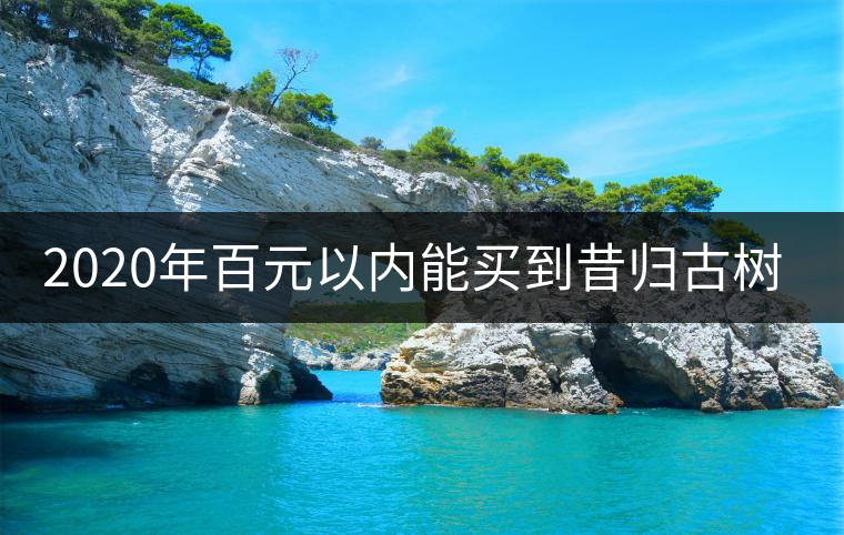 2020年百元以內(nèi)能買到昔歸古樹嗎？