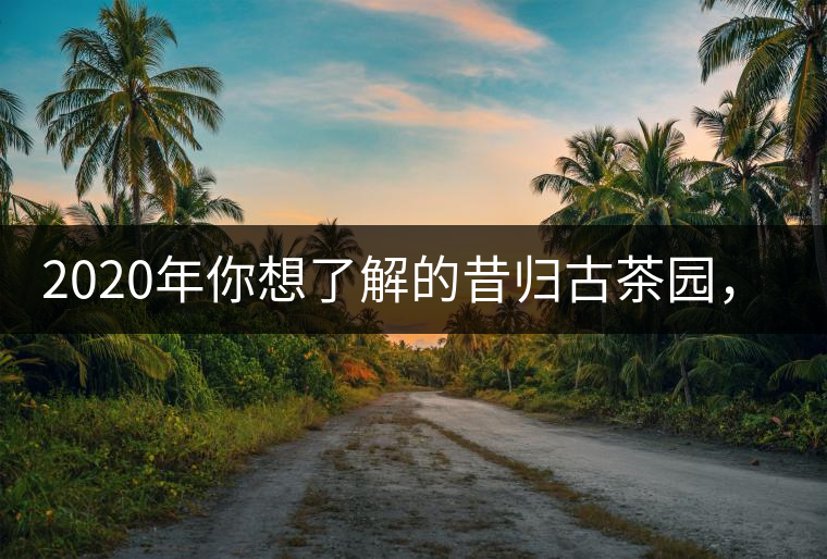 2020年你想了解的昔歸古茶園，都在這？
