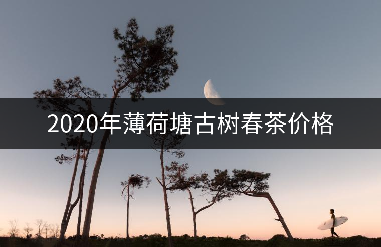2020年薄荷塘古樹春茶價(jià)格 2020年薄荷塘古樹春茶價(jià)格