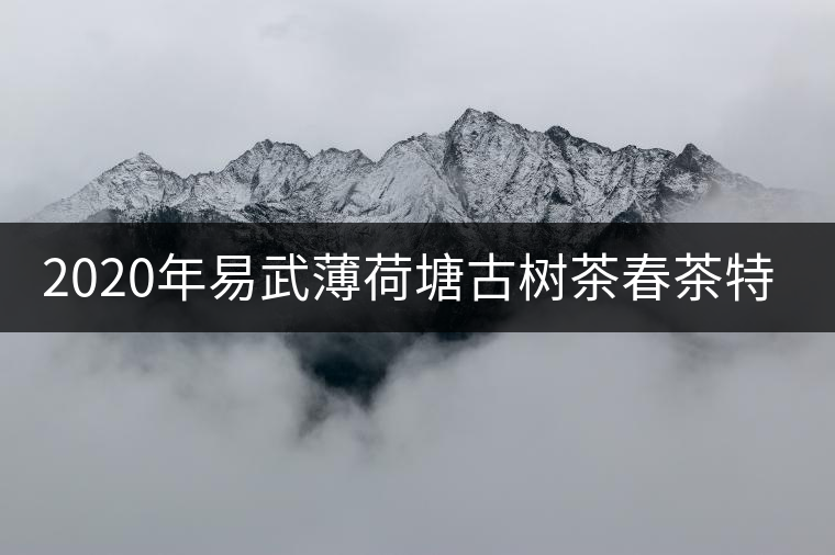 2020年易武薄荷塘古樹茶春茶特征 2020年易武薄荷塘古樹茶春茶特征