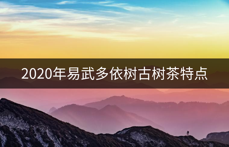 2020年易武多依樹古樹茶特點(diǎn) 2020年易武多依樹古樹茶特點(diǎn)