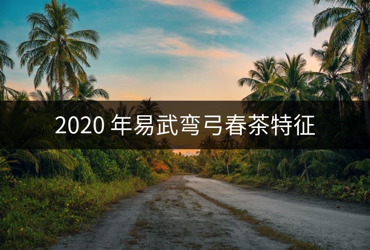 2020 年易武彎弓春茶特征