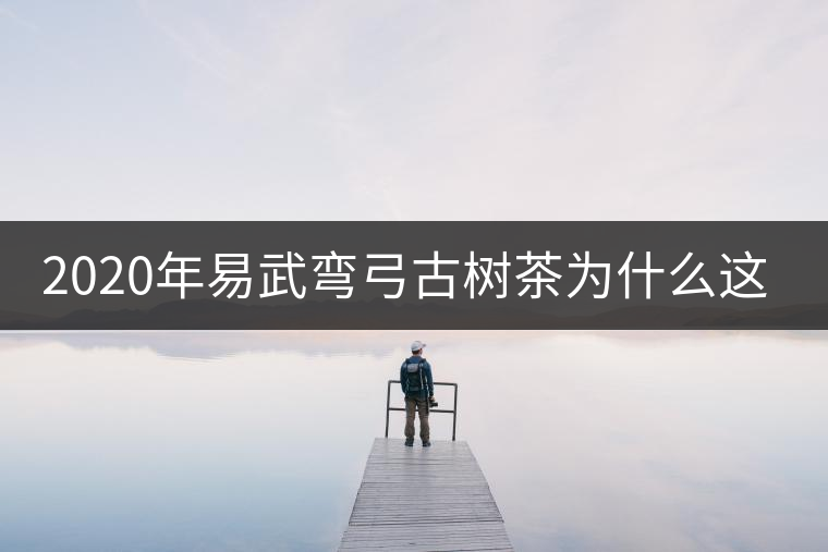 2020年易武彎弓古樹(shù)茶為什么這么貴？