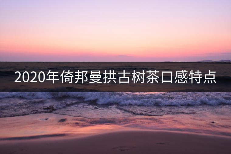 2020年倚邦曼拱古樹(shù)茶口感特點(diǎn)