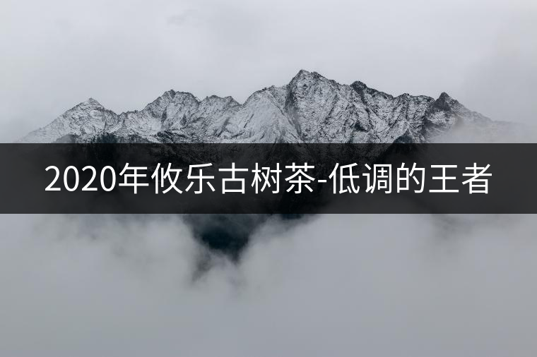 2020年攸樂古樹茶-低調的王者