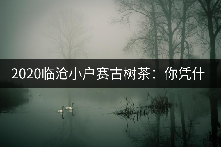 2020臨滄小戶賽古樹茶：你憑什么當冰島賣？