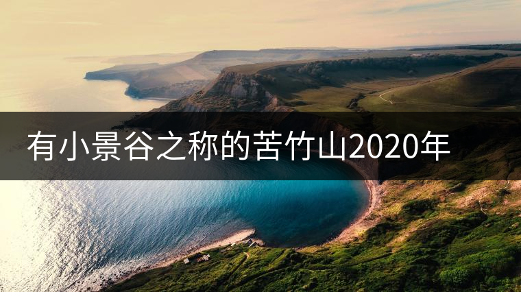 有小景谷之稱的苦竹山2020年古樹春茶價(jià)格