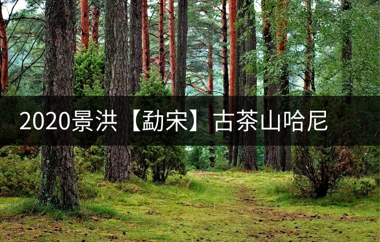 2020景洪【勐宋】古茶山哈尼年“嘎湯帕”圓滿結(jié)束，我們明年見