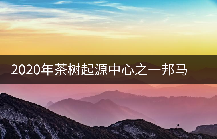 2020年茶樹起源中心之一邦馬大雪山上有哪些神秘的村寨？