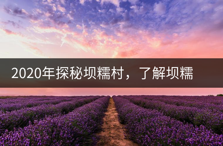 2020年探秘壩糯村，了解壩糯藤條茶的真相