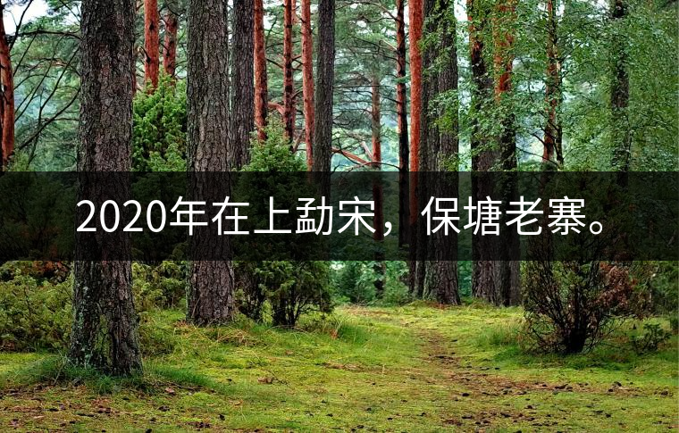 2020年在上勐宋，保塘老寨。
