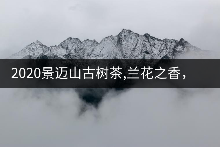 2020景邁山古樹茶,蘭花之香，自然之味