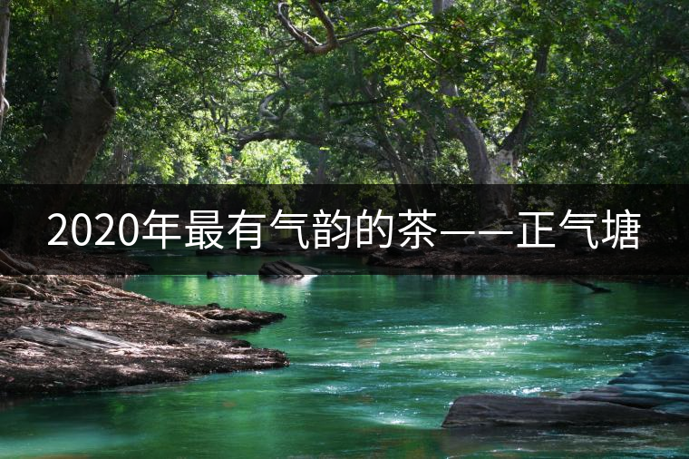 2020年最有氣韻的茶——正氣塘