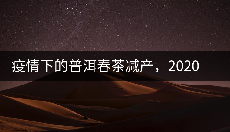 疫情下的普洱春茶減產(chǎn)，2020年價(jià)格“兩極分化”或成常態(tài)？
