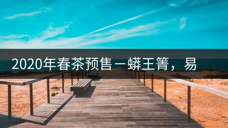 2020年春茶預(yù)售－蟒王箐，易武一個(gè)蟒蛇出沒的地方