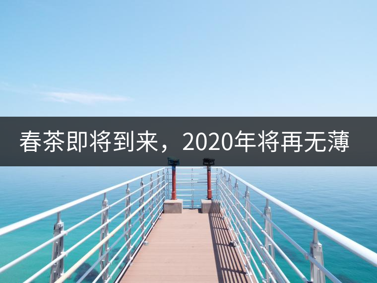 春茶即將到來，2020年將再無薄荷塘？