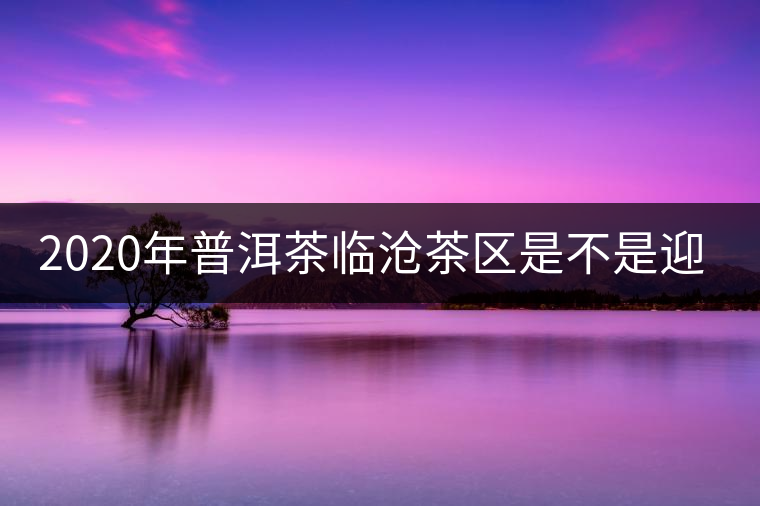 2020年普洱茶臨滄茶區(qū)是不是迎來最好機遇？