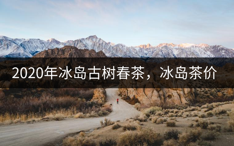 2020年冰島古樹(shù)春茶，冰島茶價(jià)格貴在哪里？